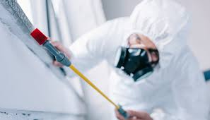 Best Pest Control for Warehouses  in Castle Pines, CO